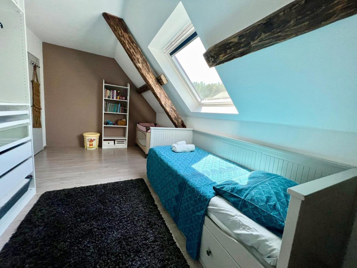 Superbe Appartement Duplex A Kaysersberg En Alsace Dış mekan fotoğraf